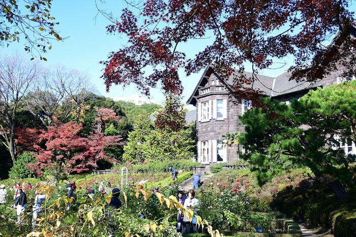 11月26日撮影の紅葉と洋館の画像