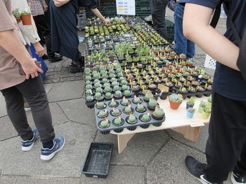 2025年の北区グリーンフェスタの様子の画像