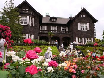 旧古河庭園の洋館とバラ（5月8日撮影）の画像