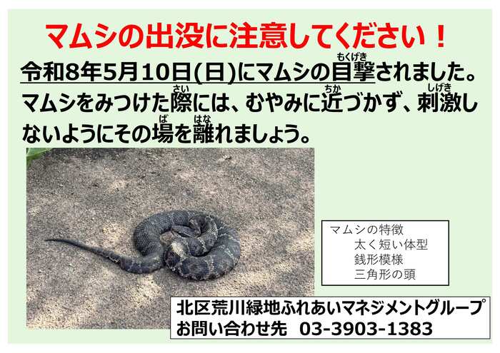 荒川周辺でマムシが目撃されました