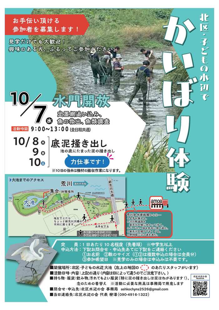 チラシ