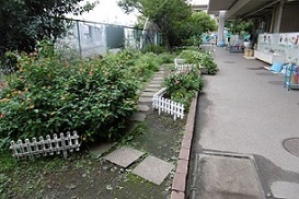 写真:花壇