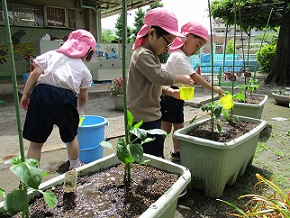 野菜