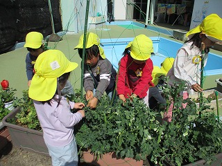 植物の世話をしている様子