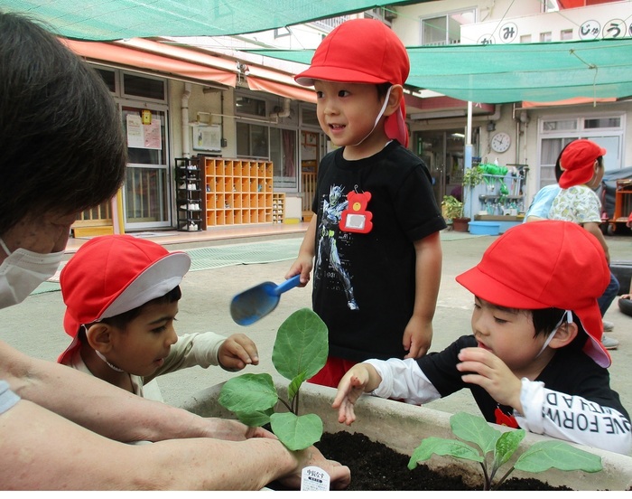 3歳児苗植えの様子