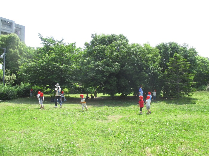 3歳児散歩の様子