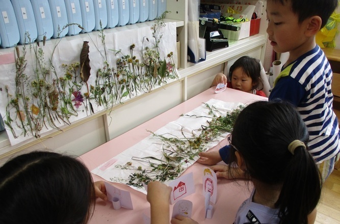 5歳児草花遊びの様子