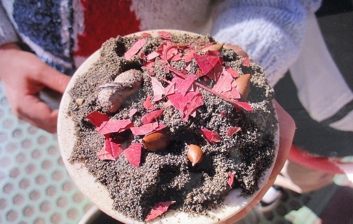 砂と自然物で作ったケーキ