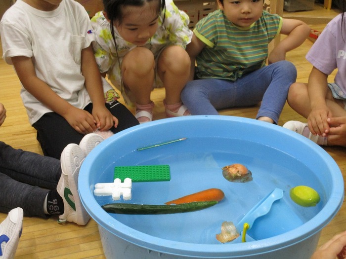 水に物を浮かべているところ