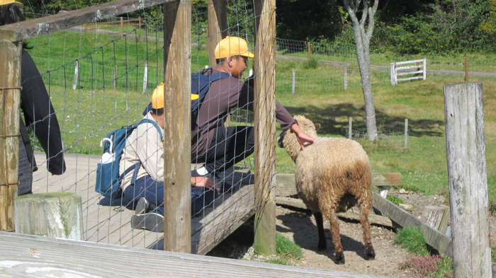 5組那須宿泊学習の写真