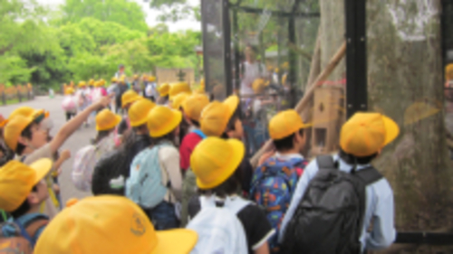 3年遠足の写真