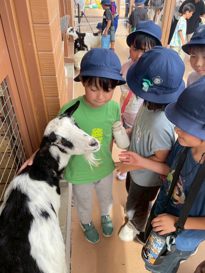 ヤギとふれあう様子