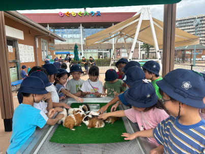 モルモットとふれあう様子