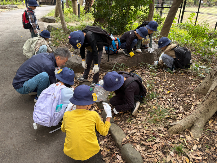 どんぐりや落ち葉を探している様子
