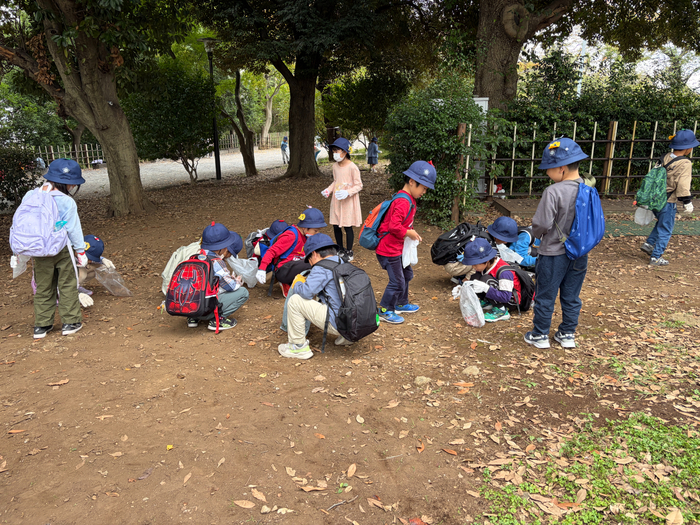 どんぐりや落ち葉を探している様子