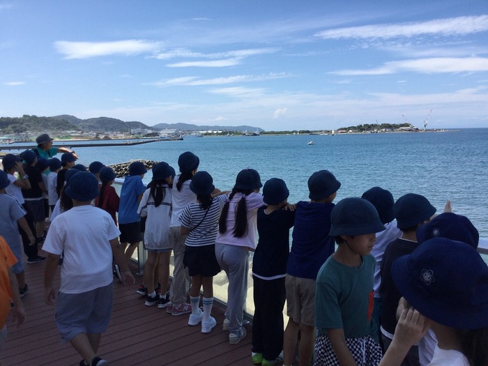 海を見ている様子