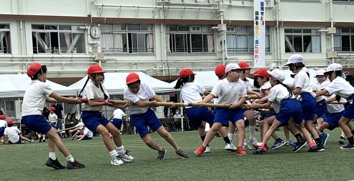 棒引きの様子
