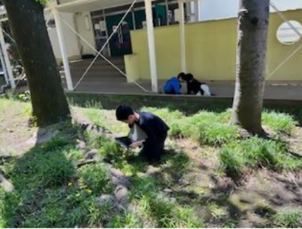 4月の学習の様子の写真