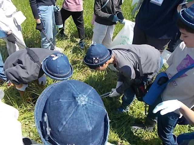 荒川のゴミ拾い