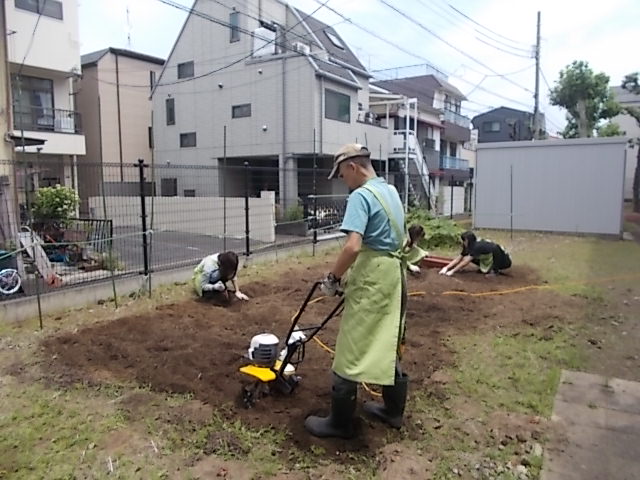 畑耕し