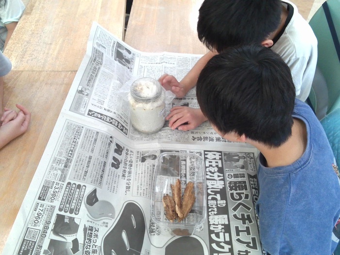 クワガタを観察する児童の様子