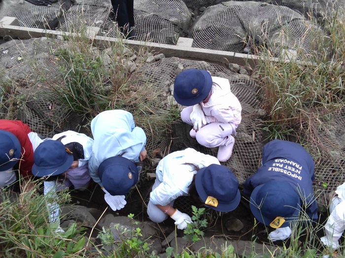カニをとっている様子