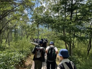 日光の様子2