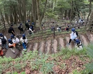 日光の様子3