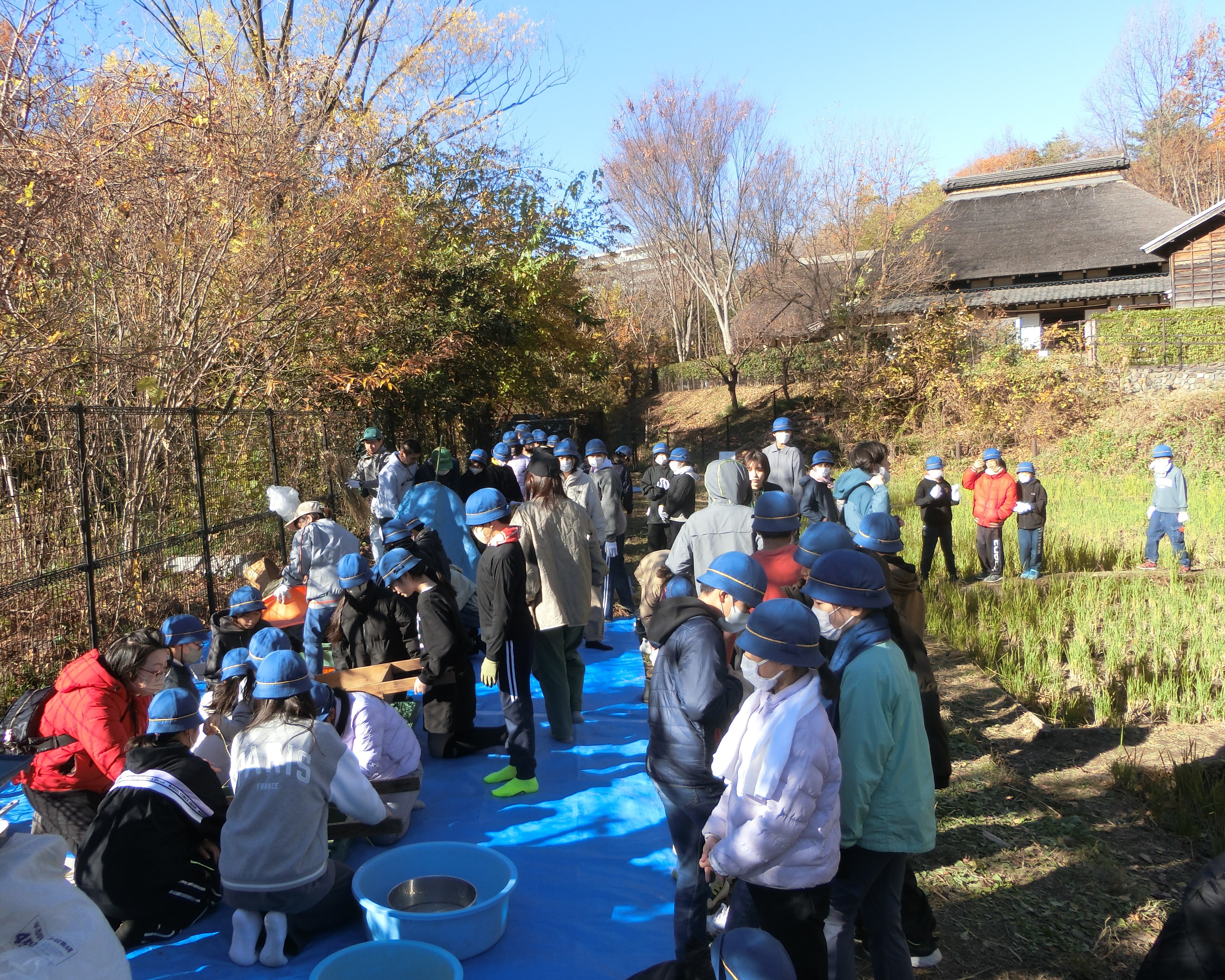 作業全体の様子