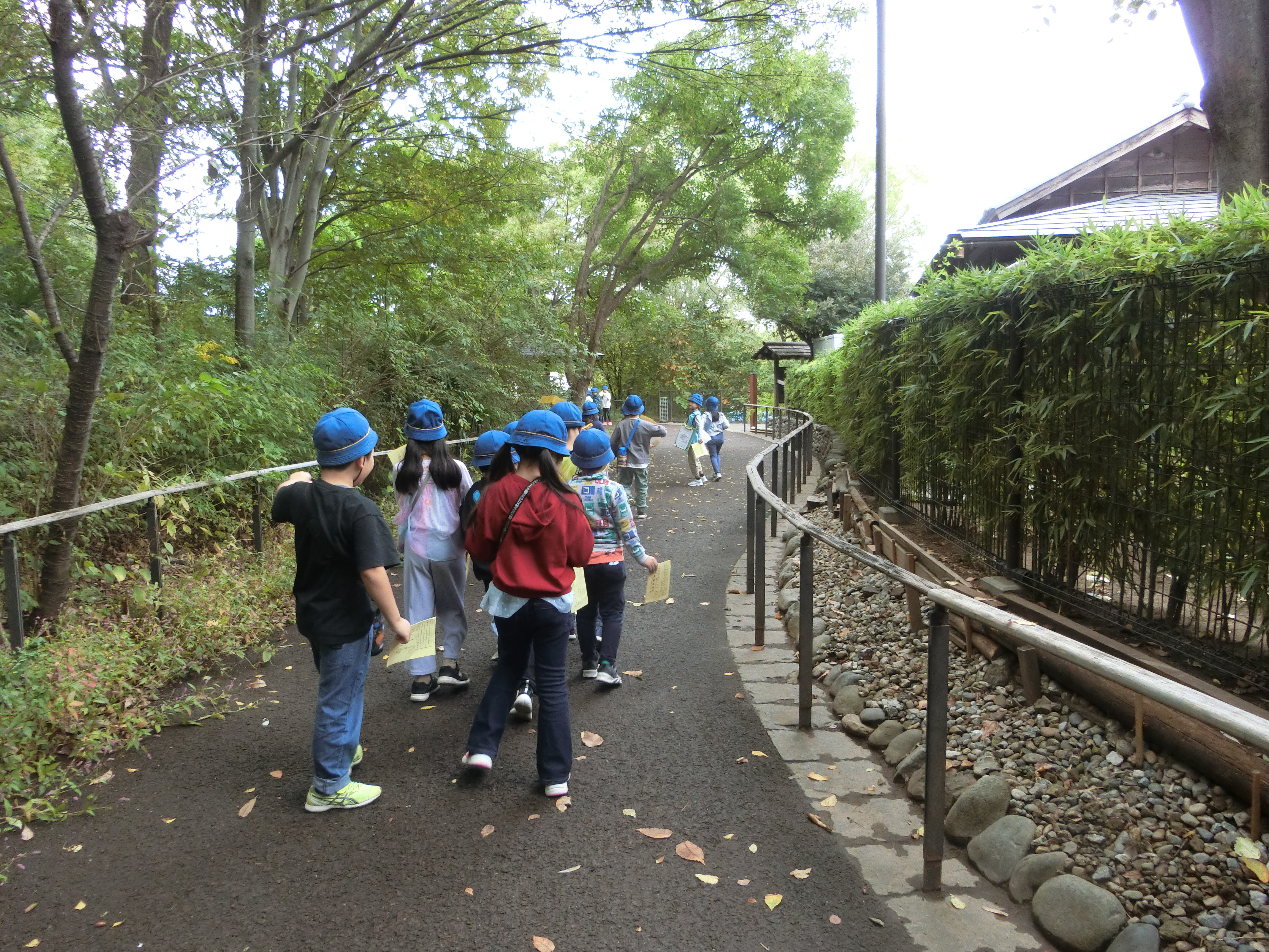 グループ行動の様子