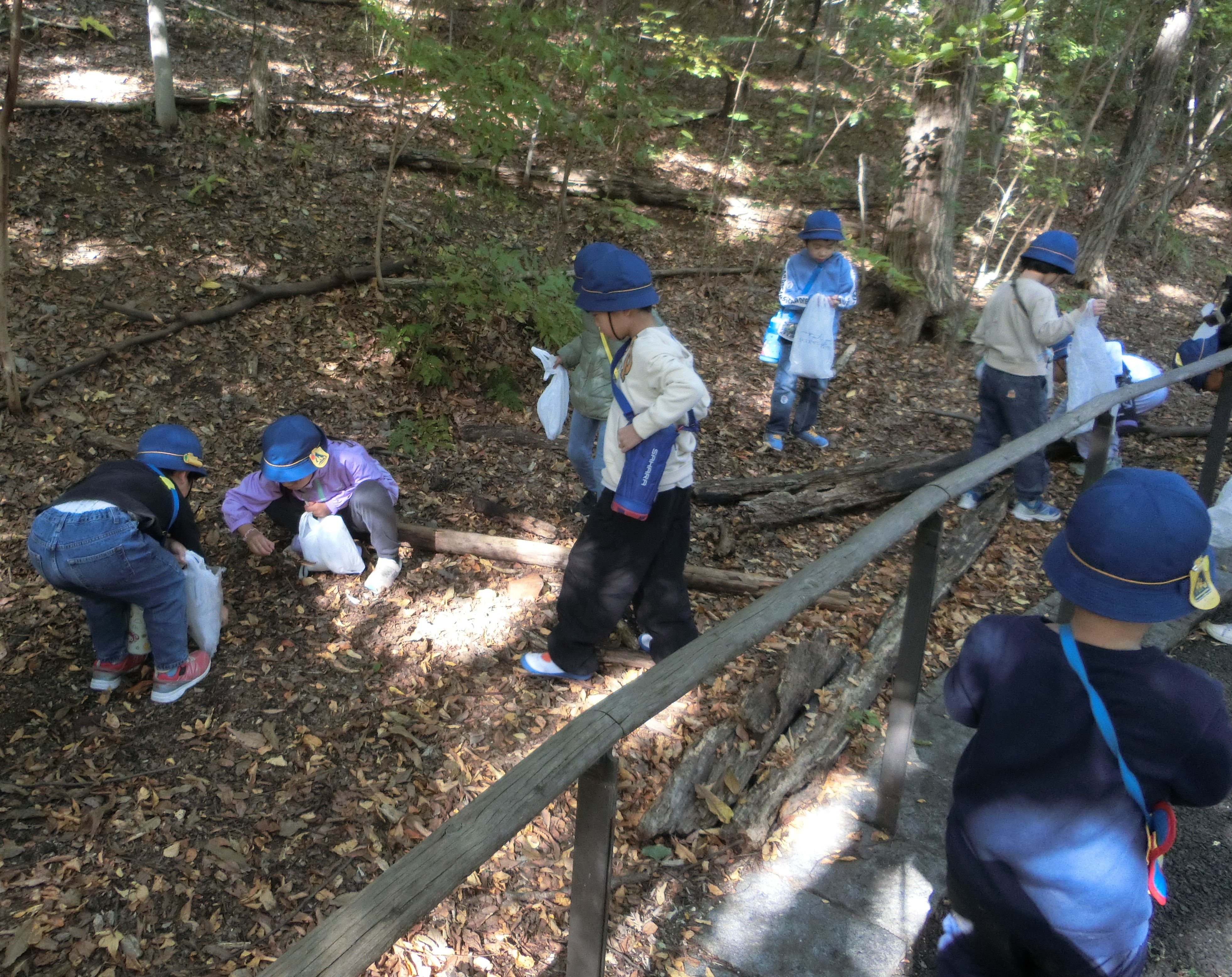 どんぐり拾いの様子