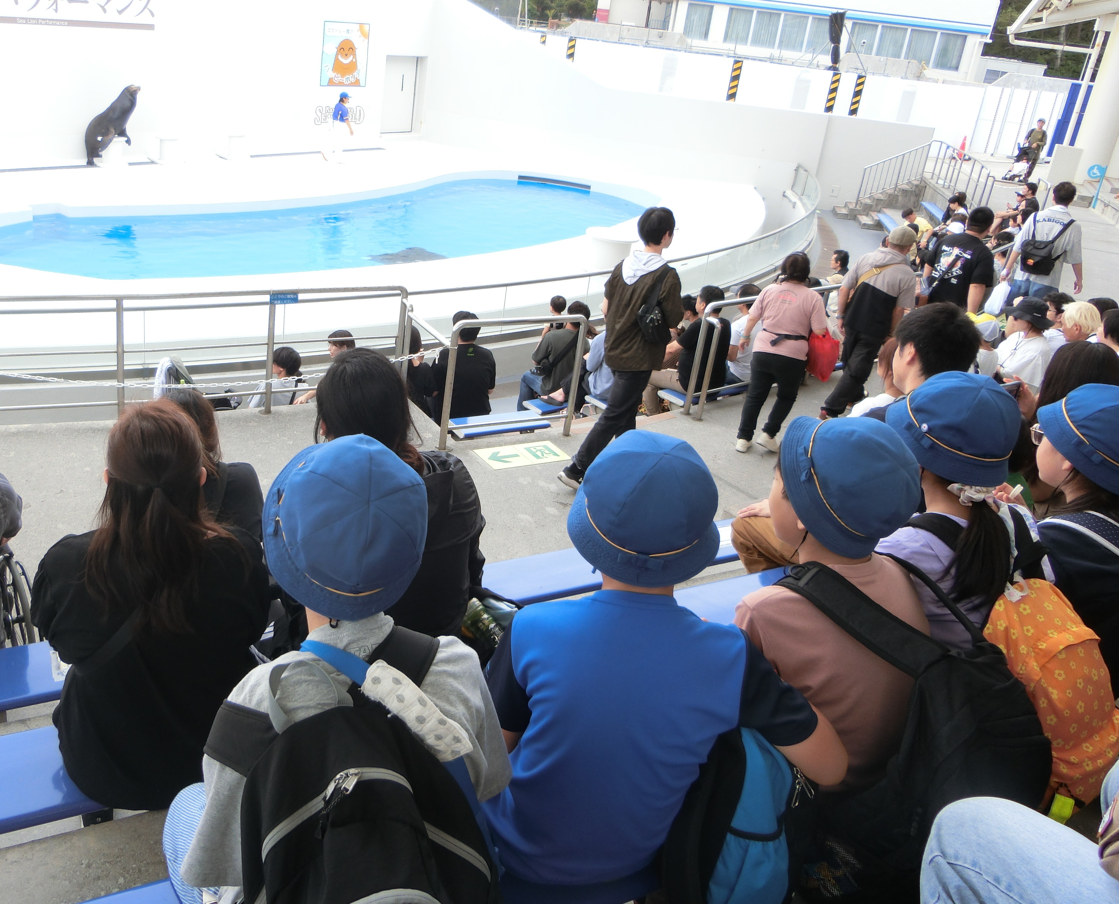 鴨川シーワールド見学