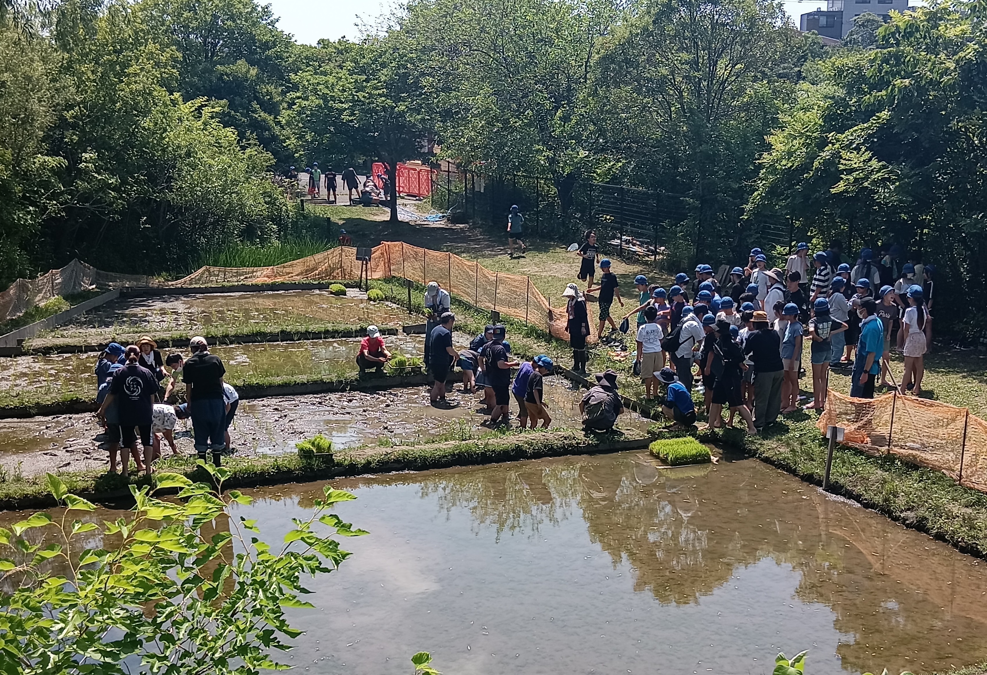 全体風景