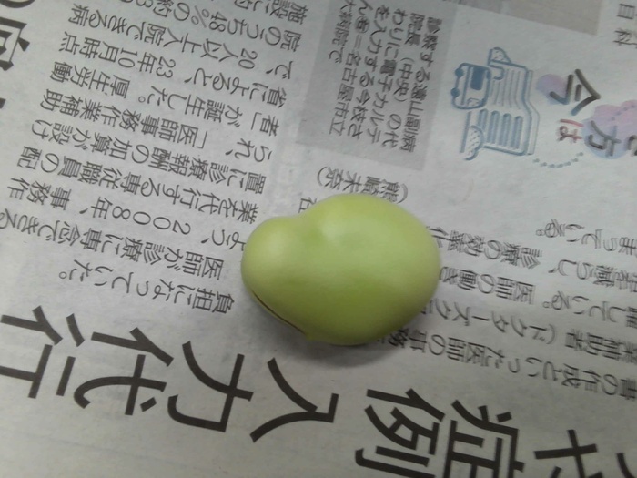 そらまめ