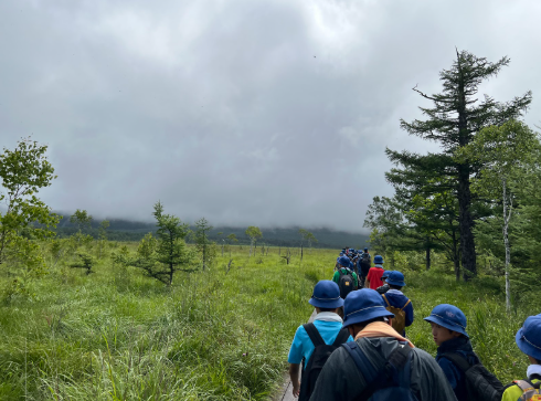 戦場ヶ原でハイキングをする児童の様子