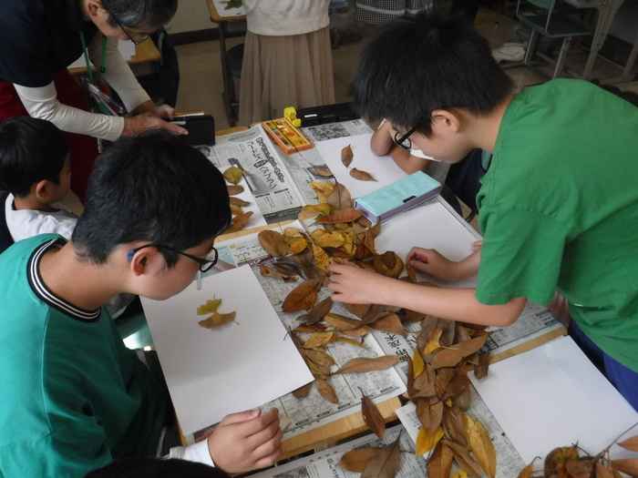 はっぱを選んでいるところ