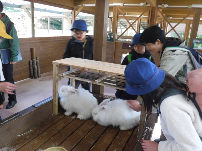 那須どうぶつ王国でウサギをなでているところ