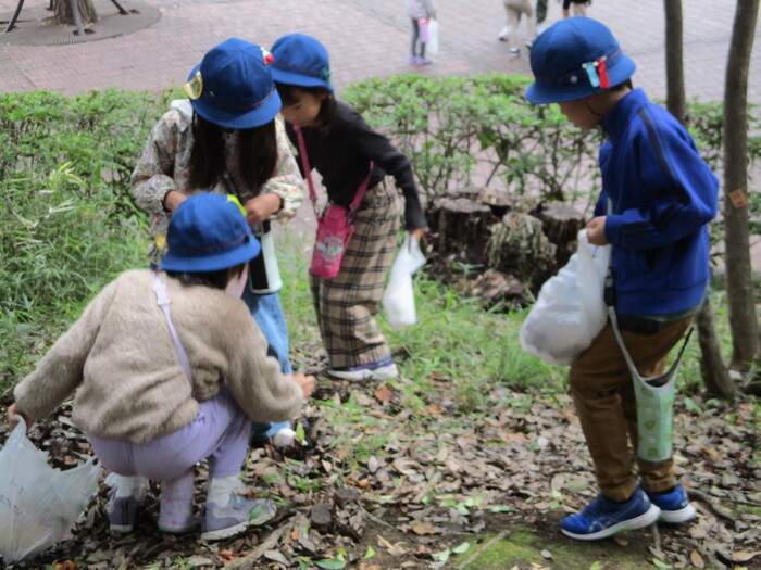 公園でどんぐりを探している様子