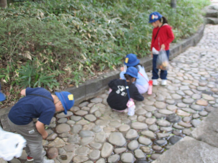 石の間に落ちているどんぐりや葉っぱを拾っている様子