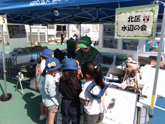 どんぐりやくるみのペンダントを作っている様子