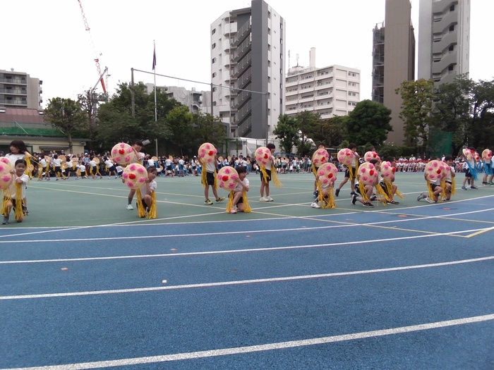 花がさぷらいず