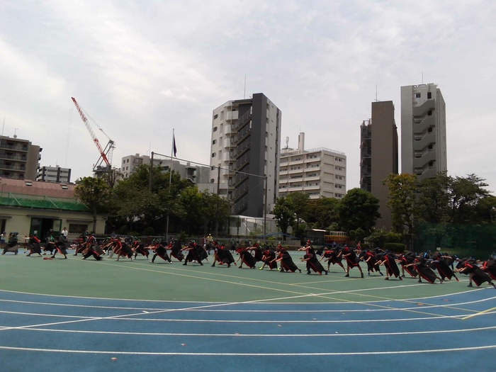 ソーランの様子