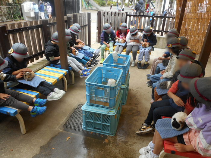 モルモットと触れ合っている様子