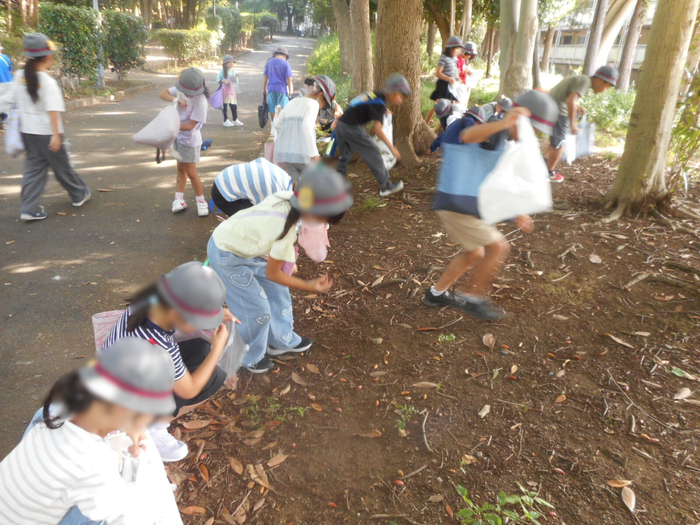 中央公園で児童がどんぐりを拾っている様子