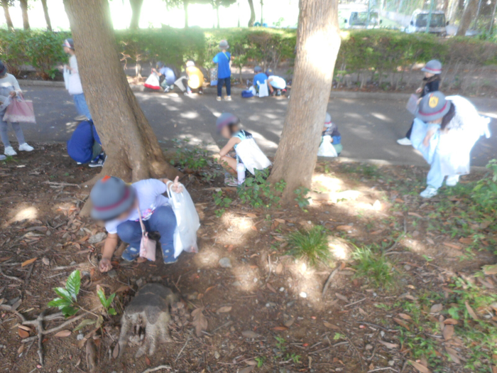 中央公園で児童がどんぐりを拾っている様子