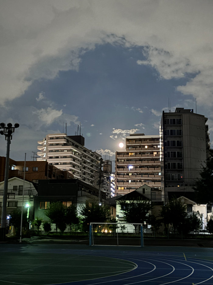 マンションの間から見えた月