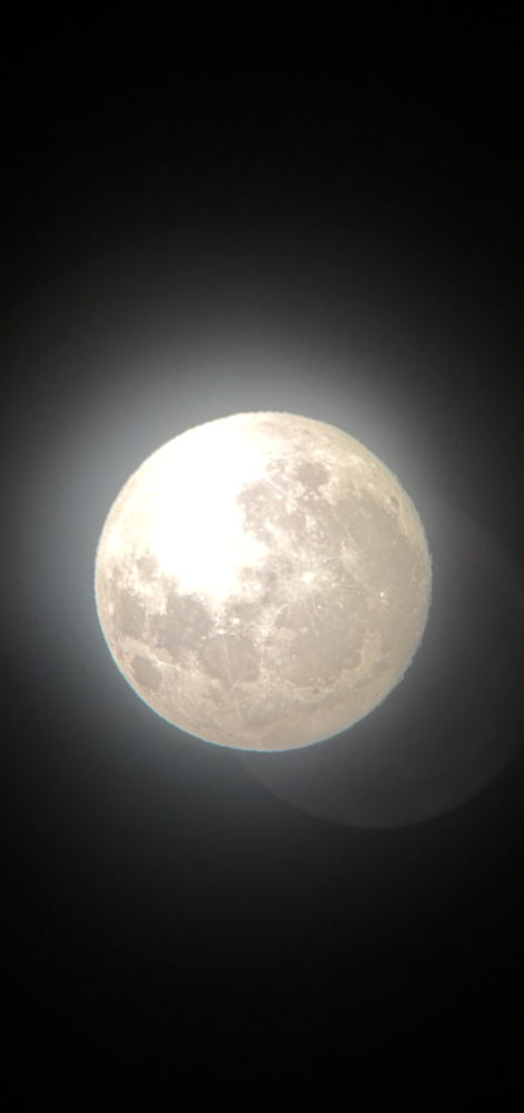 天体望遠鏡で撮影した月