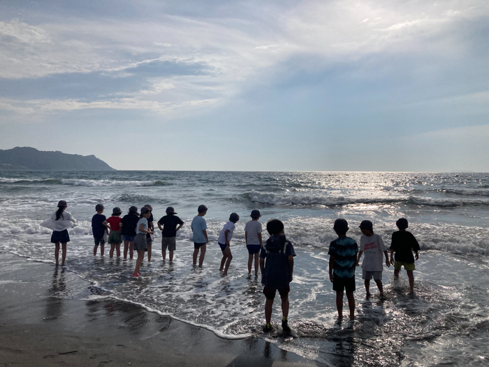 海岸で波に当たっている様子