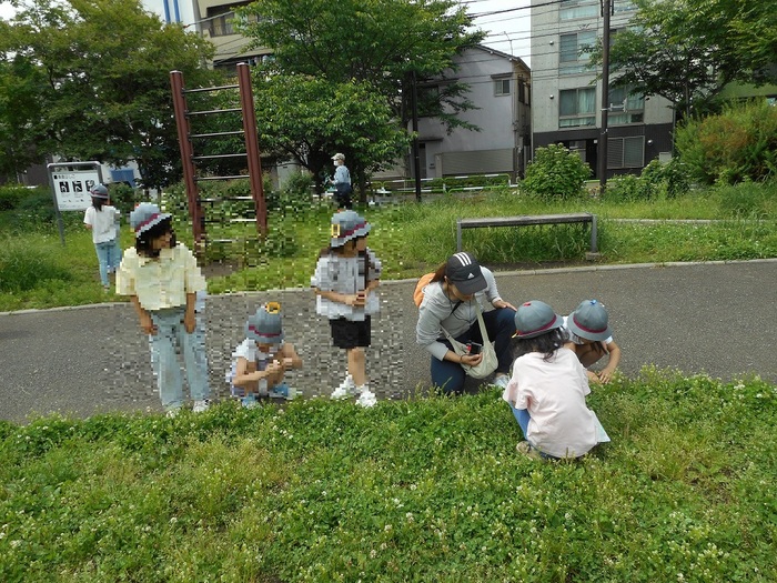 はっぱを探している写真