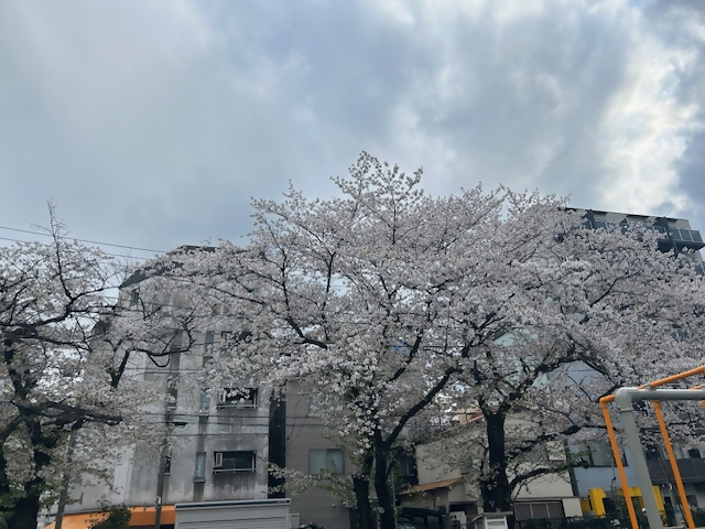 令和7年度の学校生活がスタートしました。